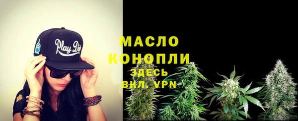 тгк Щигры