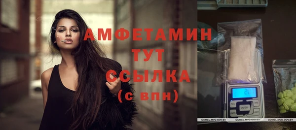 гидра Нея