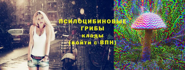 гидра Нея