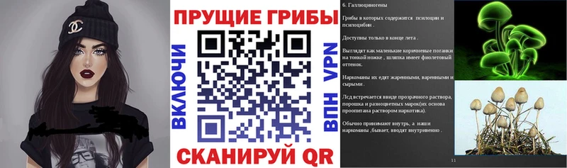 Галлюциногенные грибы GOLDEN TEACHER Кизляр