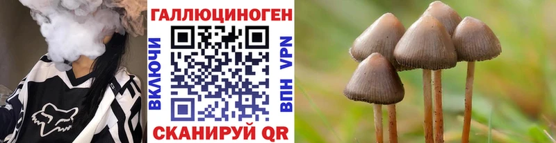 МЕГА ONION  Кизляр  Псилоцибиновые грибы Cubensis 