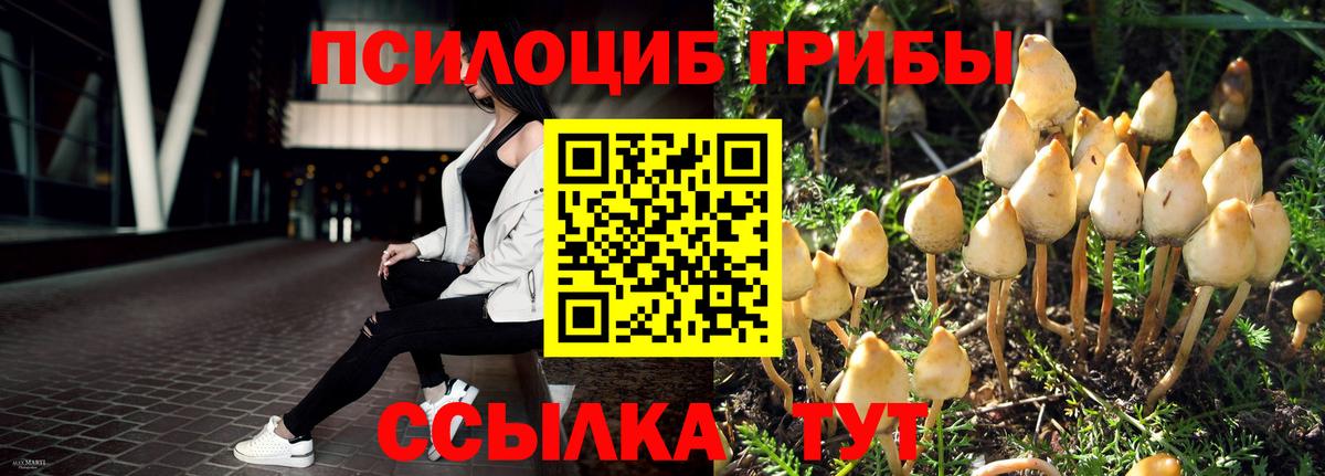 Псилоцибиновые грибы прущие грибы Кизляр