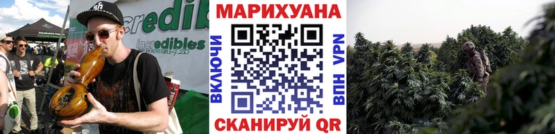 Каннабис ГИДРОПОН  Кизляр 